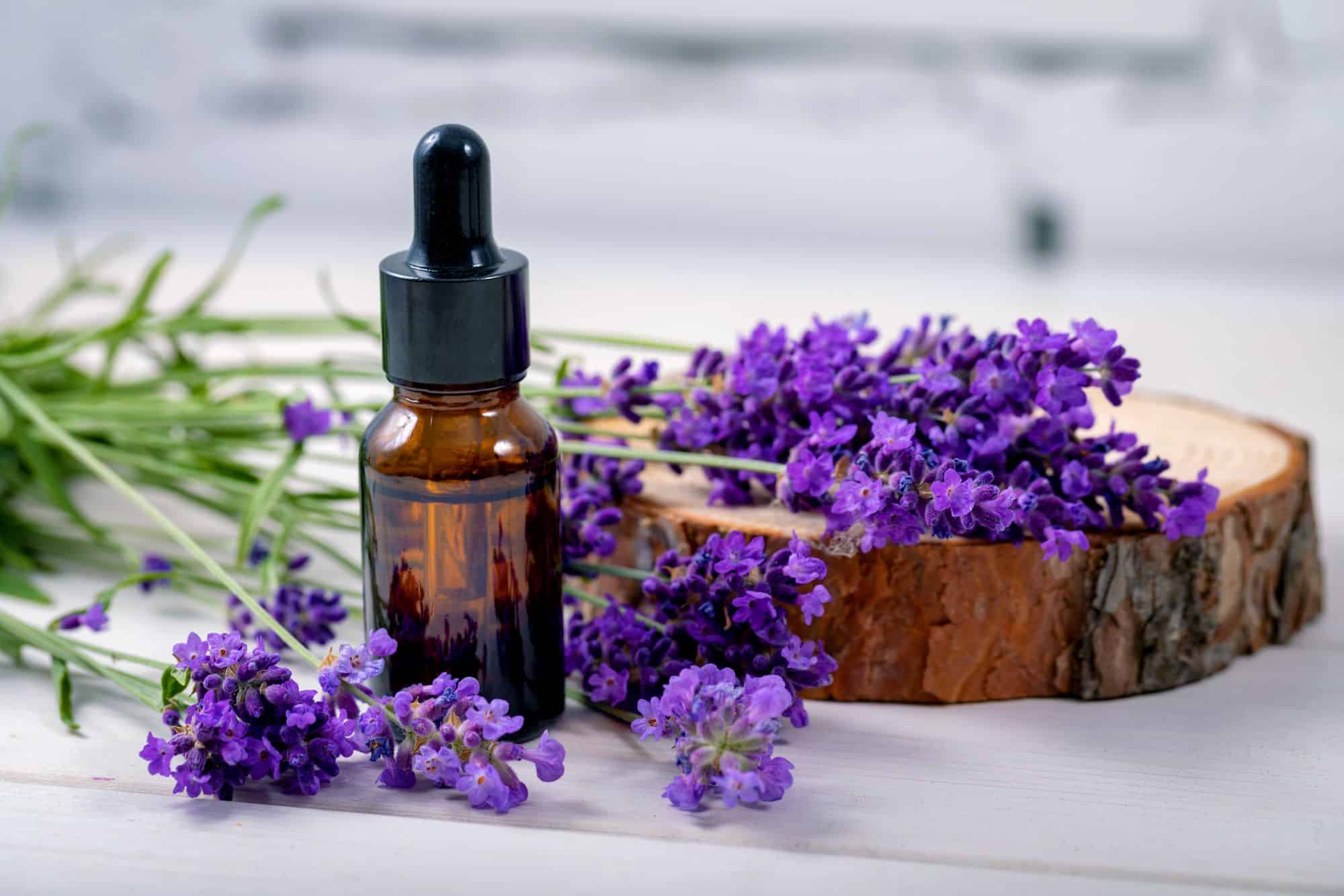 Levendula illóolaj – természetes kozmetikai és aromaterápiás alapanyag - Image 2